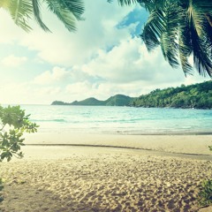 SEASONS INSTRUMENTAL