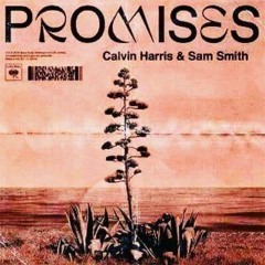 C. H.  Feat. S.  Smith - Promises (Bruno Palace & Rick Braile Review W.Bhall Mix)FREE
