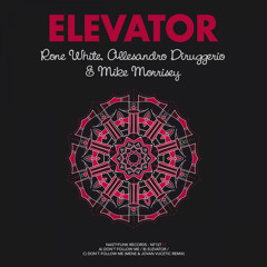 Rone White, Alessandro Diruggiero, Mike Morrisey - Don't Follow Me (Original Mix)