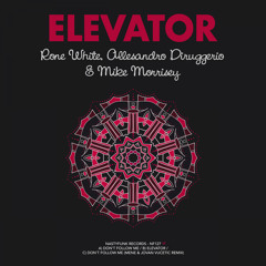 Rone White, Allesandro Diruggiero, Mike Morrisey - Elevator (Original Mix)