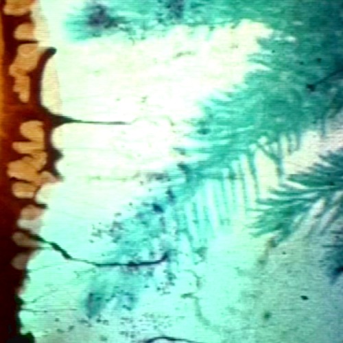 No One - Fishing for Shadows