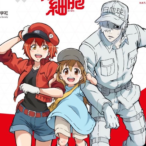 Hataraku saibou, cells at work!