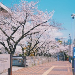 泣けるサントラ