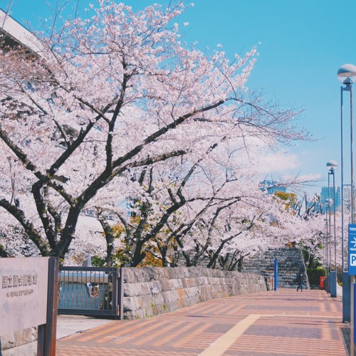 Stream 泣けるサントラ 美しく悲しいピアノ音楽 作業用 睡眠用bgm 癒しの音楽 By カエデ Listen Online For Free On Soundcloud