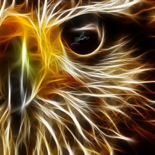 Matt Bogard - Deep Garage House Vol 5 - Apr 2019