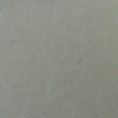 عسى ماشر يا نور العين