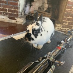 Taylor Locke - Waves