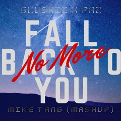 Slushii x PAZ - Fall Back To You No More (Michael Tang Mash Up)