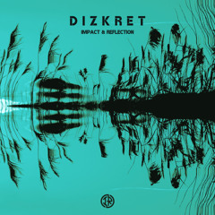 Dizkret - Impact & Reflection (Preview)