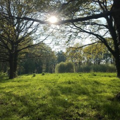 Roderick Porter - i like the pain. (ft. Shiloh Dynasty)