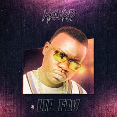 Lil Fly