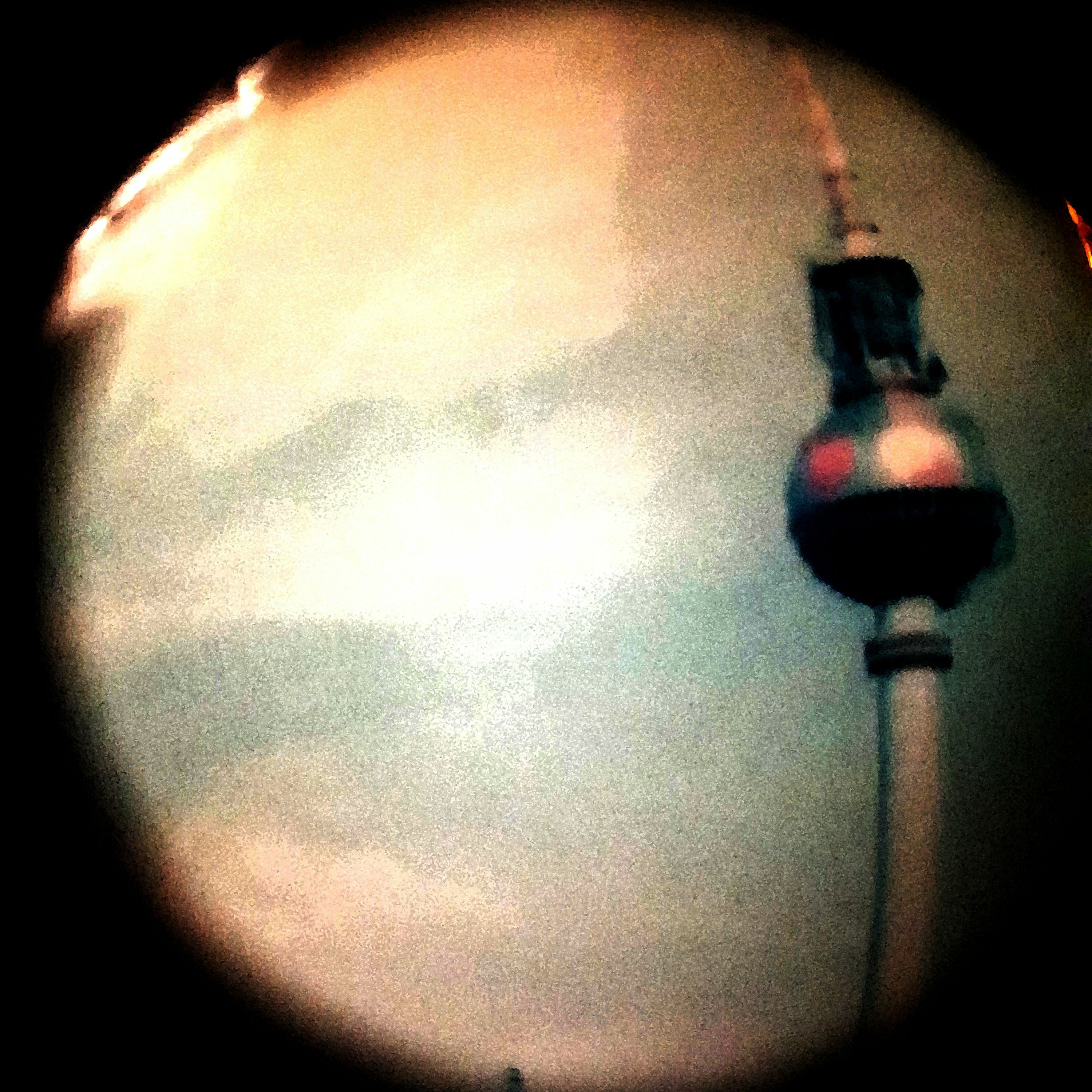 Vicky Clarke | SONAMB