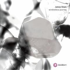 James Shain - Did The Moon Shine