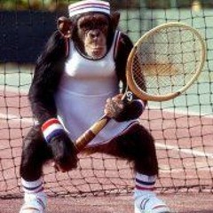 Monkey Tennis