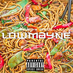 LowMayne(Feat. Specs)