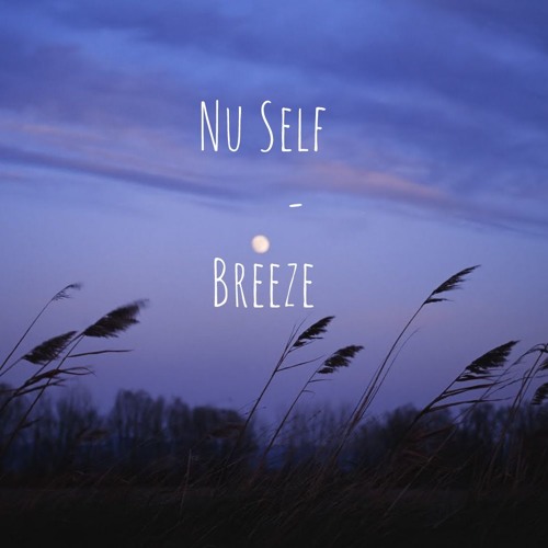 Nu Self - Breeze