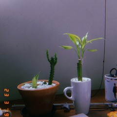 ain't my fault (cover zara larson) por tiny bear