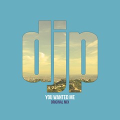 You Wanted Me (Original Mix)