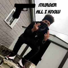 YounQuan500 - Murder All I Know