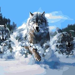 Running With Wolves