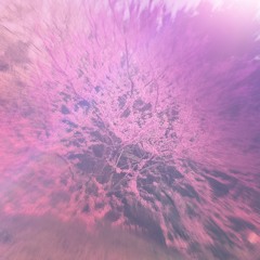 gøødnite💫 (feat. Big Trappa)