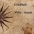 Artwork for Compass   ((((Welin / Araion))))