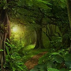 BiORYTHM - Dream In The Jungle[wav - Preview Demo}