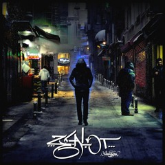 06 - Zealot