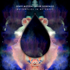PREMIERE : Space Motion, Javier Gonzalez - Butterflies In My Chest (Kintar Remix) [Sudam Recordings]