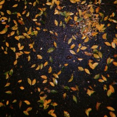 i think you're really cool (feat. skeletonplant)(guardin cover)