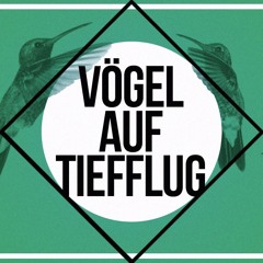 Joe Bloxx @ Vögel Auf Tiefflug - Rathausbunker Kiel