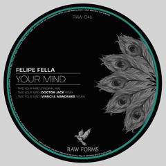 Felipe Fella - Take Your Mind (Doctor Jack Remix)