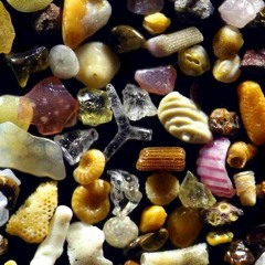 whack 2 feat. insekür