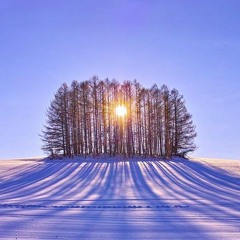 Solstice