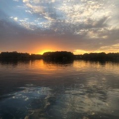 Holiday Special Part 1 (Thanksgiving)