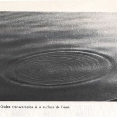 Sonar