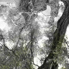 NTelia ( Ziwzih Ziwzih OO-OO-OO remix) (Live recording)