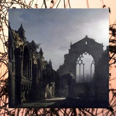 LiL BiRD x $PARKY - KEEP IT REAL