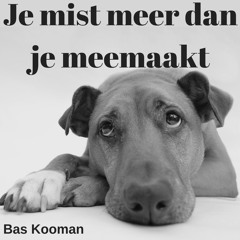 JE MIST MEER DAN JE MEEMAAKT (with Dave McKeown)