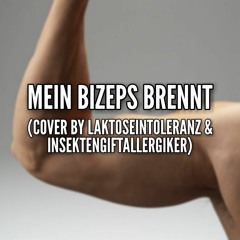 Mein Bizeps brennt (Cover By LI & IGA)