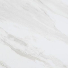 Tonka Truck - White Fuck (feat. WAKEUPDEZ & Agusto)