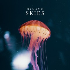Skies - Extended Mix