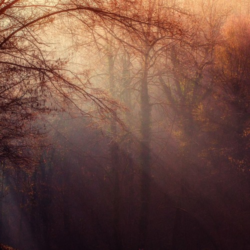 All The Kids are Depressed -Jeremy Zucker (slowed + reverb)