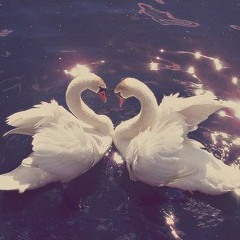 Pas De Duex Ethereal Remix