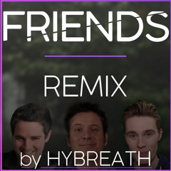 The Workday Release - I Don't Think We Can Be Friends (Hybreath REMIX)