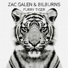 "FURRY TIGER" (ZAC GALEN & BILBURNS)