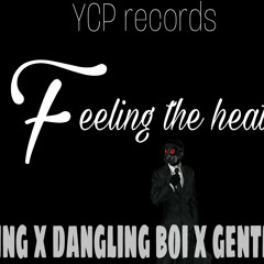 Feeling The Heat by Y.king ft dangling boi ft gentleman