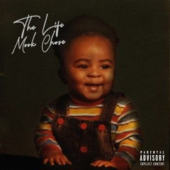 The Life Mook Chose