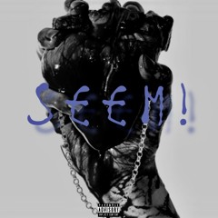 SEEM !(prod. consent2k)