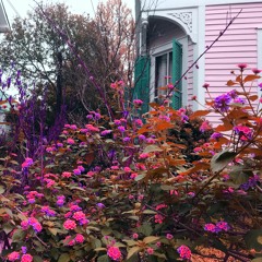 light up yoshis island breakfast shandy